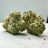 XL OREO COOKIES Exotic THCA Flower 10G QP 32.8%